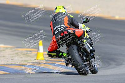 media/Mar-10-2024-SoCal Trackdays (Sun) [[6228d7c590]]/9-Turn 8 Backside (1150am)/